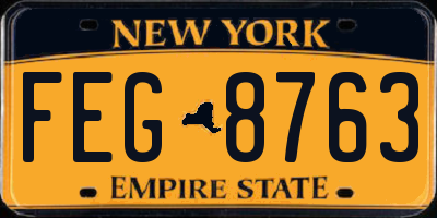NY license plate FEG8763