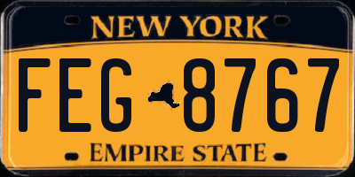 NY license plate FEG8767