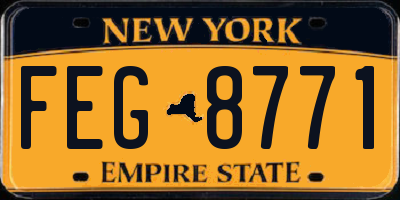NY license plate FEG8771