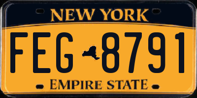 NY license plate FEG8791