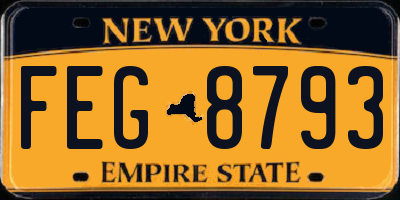 NY license plate FEG8793