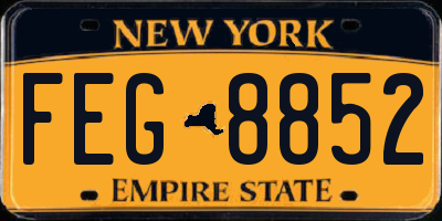 NY license plate FEG8852