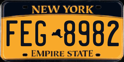 NY license plate FEG8982