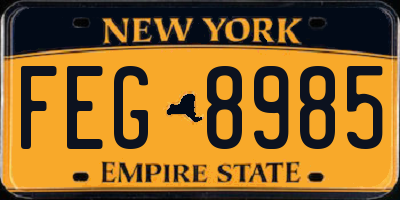 NY license plate FEG8985