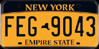 NY license plate FEG9043