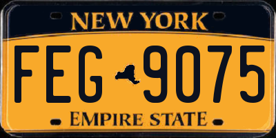NY license plate FEG9075