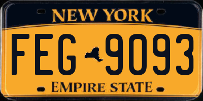 NY license plate FEG9093