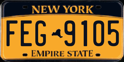 NY license plate FEG9105