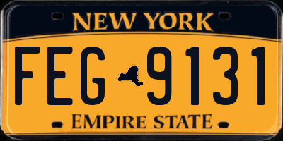NY license plate FEG9131