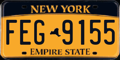 NY license plate FEG9155