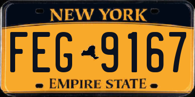NY license plate FEG9167