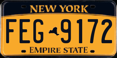 NY license plate FEG9172