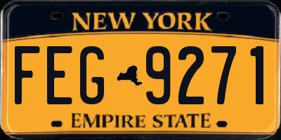 NY license plate FEG9271