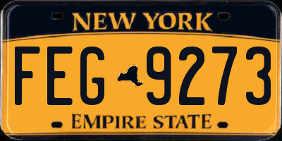 NY license plate FEG9273