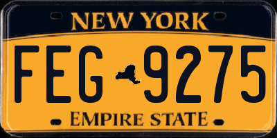 NY license plate FEG9275