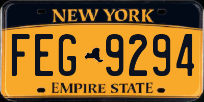 NY license plate FEG9294