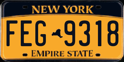 NY license plate FEG9318