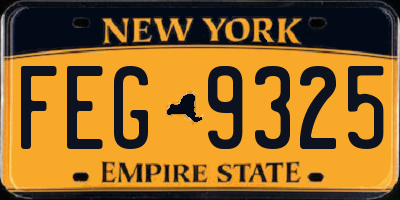 NY license plate FEG9325