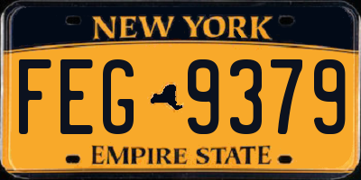 NY license plate FEG9379