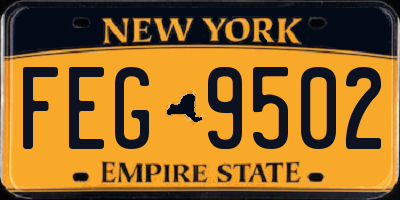 NY license plate FEG9502