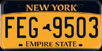 NY license plate FEG9503