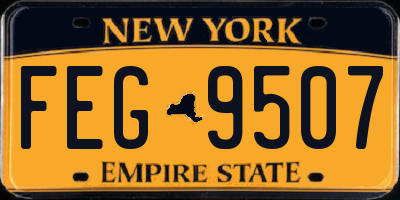 NY license plate FEG9507
