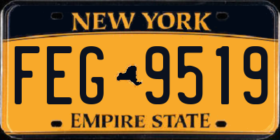 NY license plate FEG9519