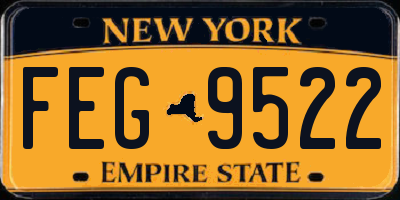 NY license plate FEG9522