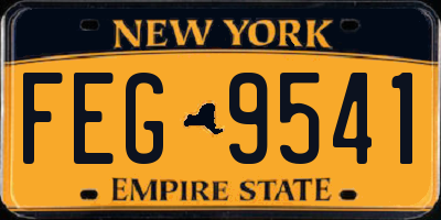 NY license plate FEG9541