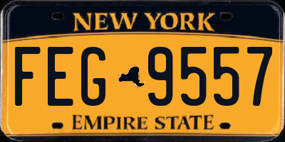 NY license plate FEG9557