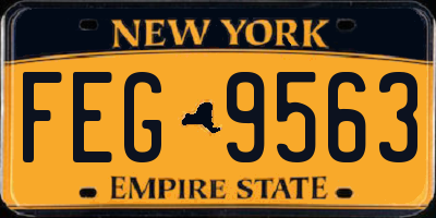 NY license plate FEG9563