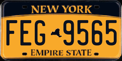 NY license plate FEG9565