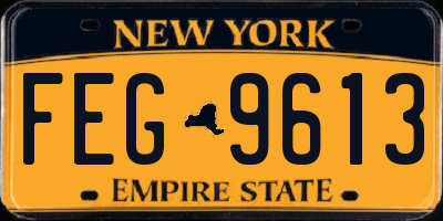 NY license plate FEG9613