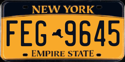 NY license plate FEG9645
