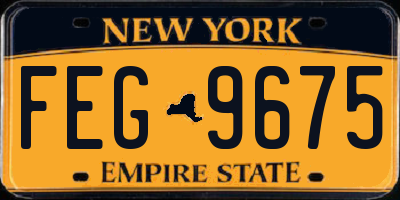 NY license plate FEG9675