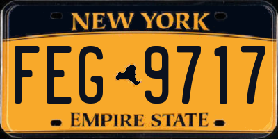 NY license plate FEG9717