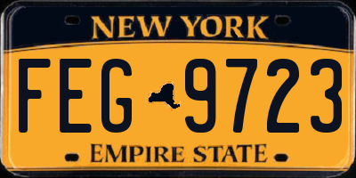 NY license plate FEG9723