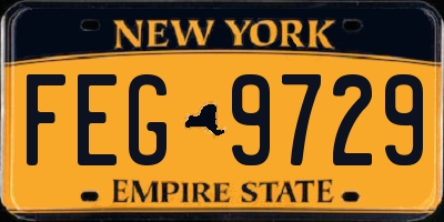 NY license plate FEG9729