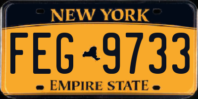 NY license plate FEG9733