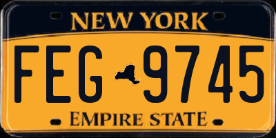 NY license plate FEG9745