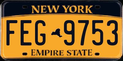 NY license plate FEG9753