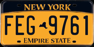 NY license plate FEG9761