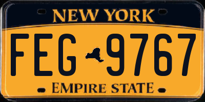 NY license plate FEG9767