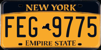NY license plate FEG9775