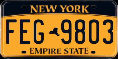 NY license plate FEG9803