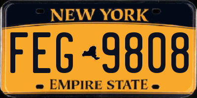NY license plate FEG9808