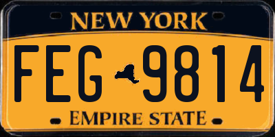 NY license plate FEG9814