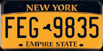 NY license plate FEG9835