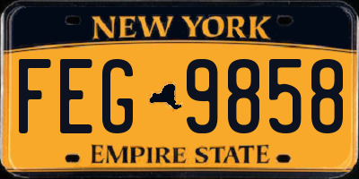 NY license plate FEG9858