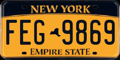 NY license plate FEG9869
